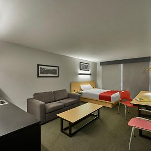 Superior Queen Room Sofa Bed